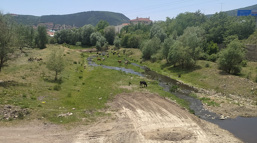 ANKARA KIZILCAHAMAM KİRMİR ÇAYI 1.KISIM